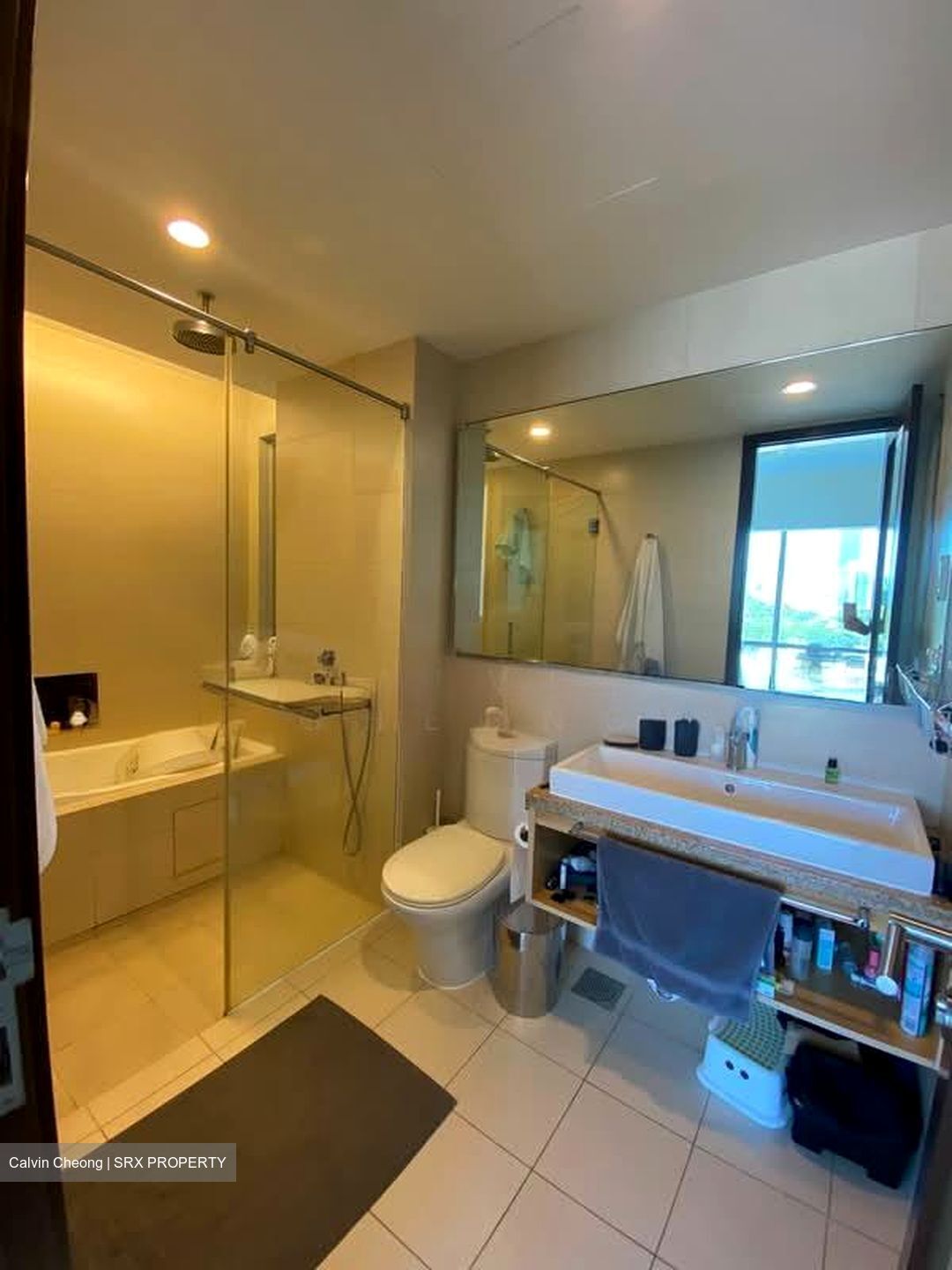 The Cathay Residence (D9), Apartment #537758451